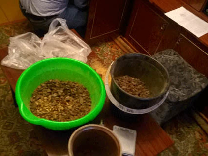 В Ровенской области правоохранители изъяли 15 кг янтаря-сырца на миллион гривен