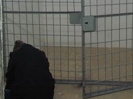 СБУ: В Запорожье задержаны злоумышленники, планировавшие похищение людей под видом сотрудников спецслужбы