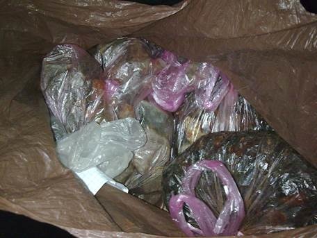 МВД: В Ровенской области у скупщиков янтаря изъяли незаконно добытый камень стоимостью более 500 тыс. грн
