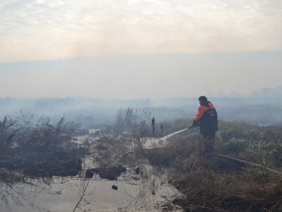 Госслужба по ЧС: Вокруг Киева продолжают гореть торфяники