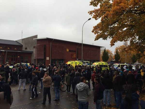 Вооруженный мечом мужчина зарубил человека и ранил еще четверых в школе шведского города Тролльхеттан