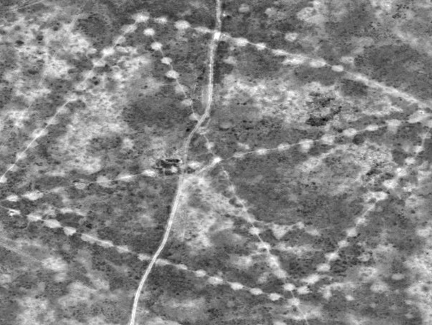 NASA нашло гигантские древние узоры в степях Казахстана