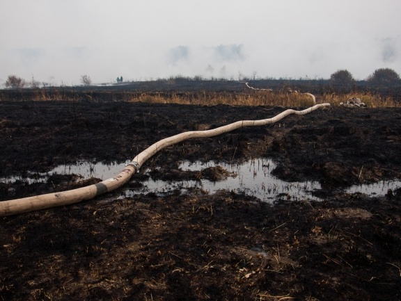 Спасатели тушат горящий торф в Полтавской и Киевской областях