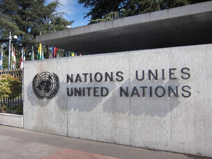  В Совбезе ООН выступили с заявлением по поводу терактов в Париже