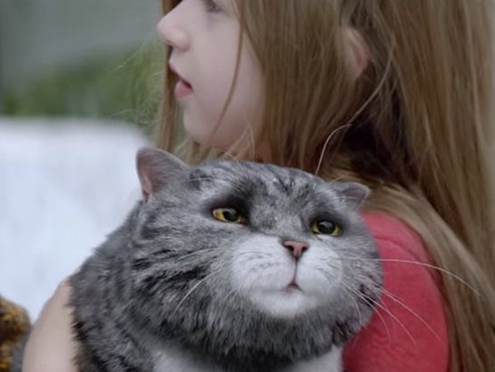 Британский супермаркет Sanbury's в рождественской кампании представил ролик о шкодливом коте. Видео