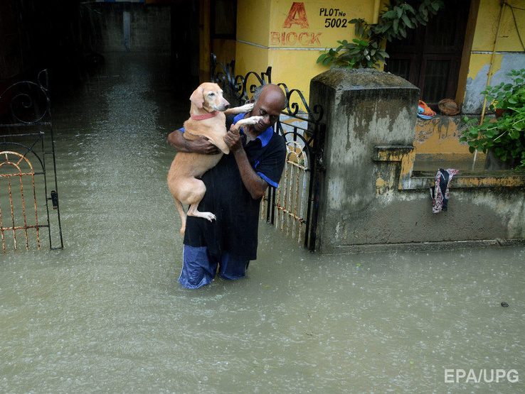 Количество погибших от наводнения в Индии достигло 100 человек