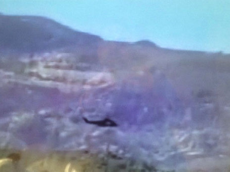 В Сирии обстреляли российский вертолет &ndash; СМИ