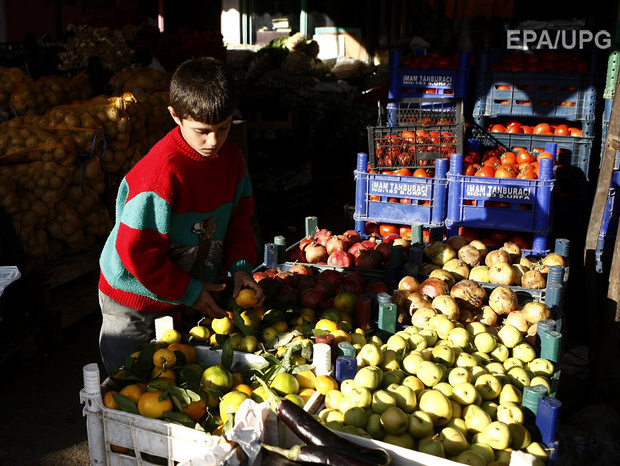 Сирия начала поставки фруктов в Россию