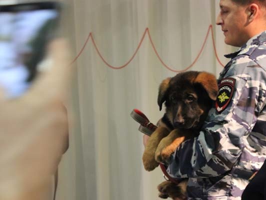 РФ подарила французской полиции щенка вместо погибшего в спецоперации против террористов служебного пса