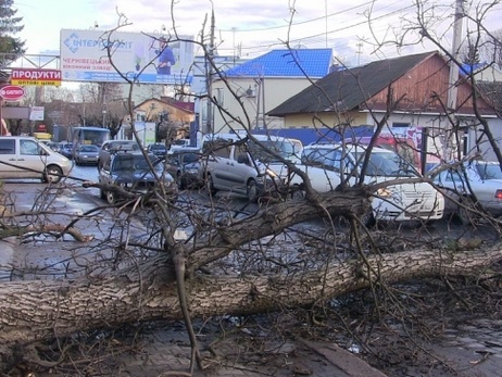 Госслужба по ЧС: В результате сильного ветра четыре населенных пункта Ивано-Франковской области остались без света