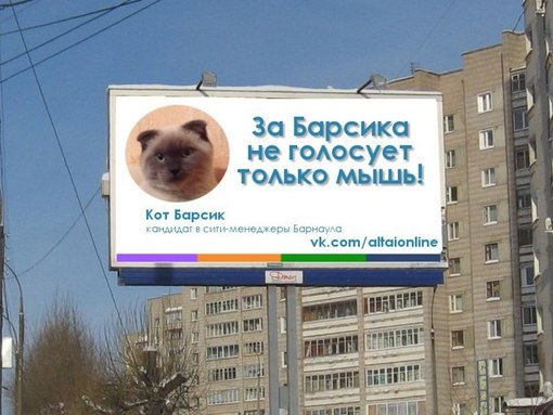 Жители российского Барнаула выбрали кота Барсика мэром города. Видео