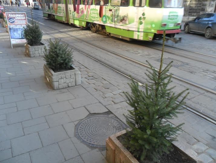 С площади в центре Львова украли две живые елки