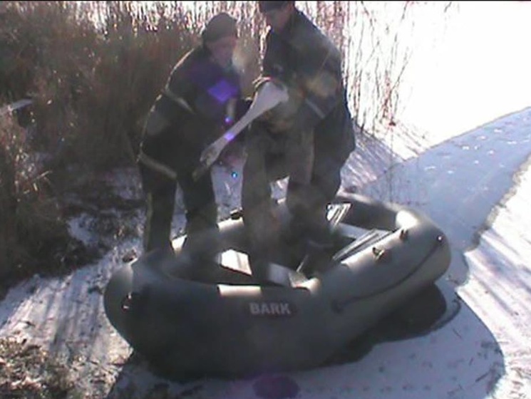 В Черкасской области сотрудники ГосЧС спасли примерзшего ко льду лебедя