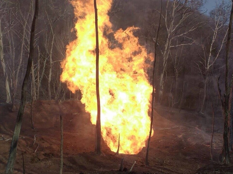 "Укртрансгаз": Поврежденный в Закарпатье газопровод будет передан на экспертизу