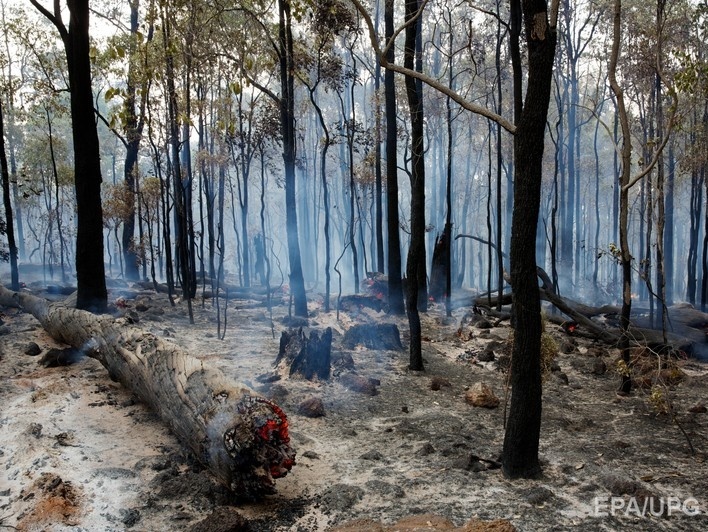 В Австралии из-за лесных пожаров полностью сгорел небольшой город