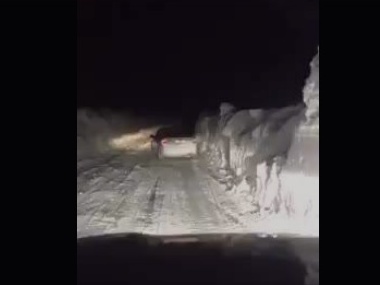 Снежный коридор. В соцсетях появилось видео трассы Одесса &ndash; Николаев после снегопадов