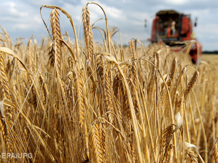 Минагрополитики: Украина экспортировала 24 млн тонн зерновых с июля 2015 года