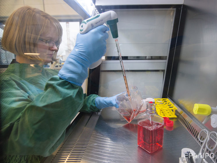 ВОЗ планирует провести крупномасштабные испытания вакцин против вируса Зика через полтора года