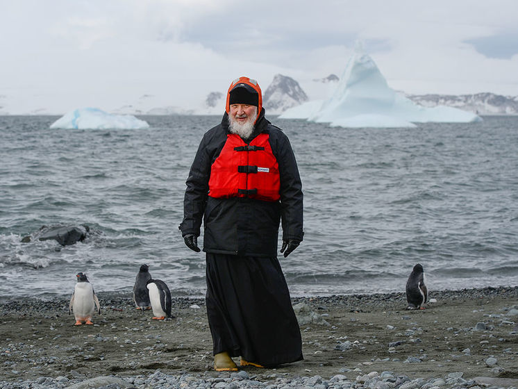 Невзоров: Антарктическая проповедь Гундяева имела несомненный успех &ndash; 16 пингвинов приняли православие