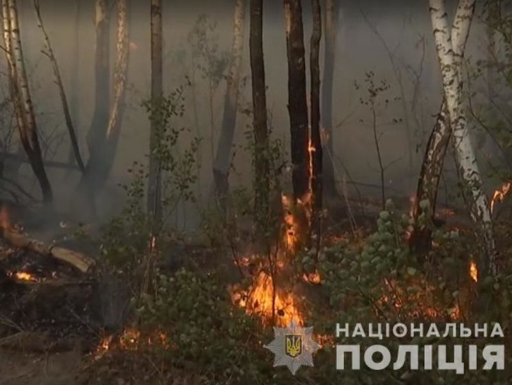 Полиция установила личность возможной подозреваемой в поджоге травы в Киевской области, который привел к пожару в Чернобыльской зоне