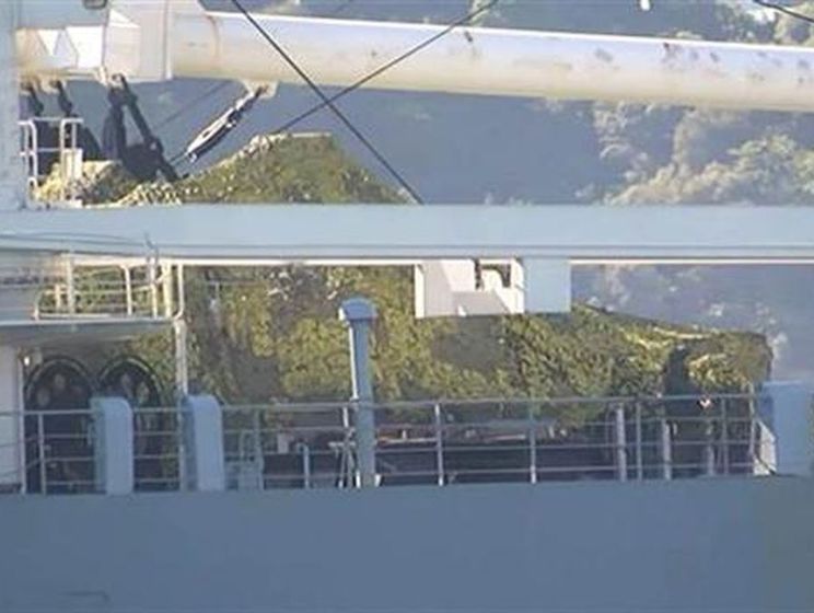 На прошедшем Босфор российском корабле зафиксировали танки &ndash; СМИ