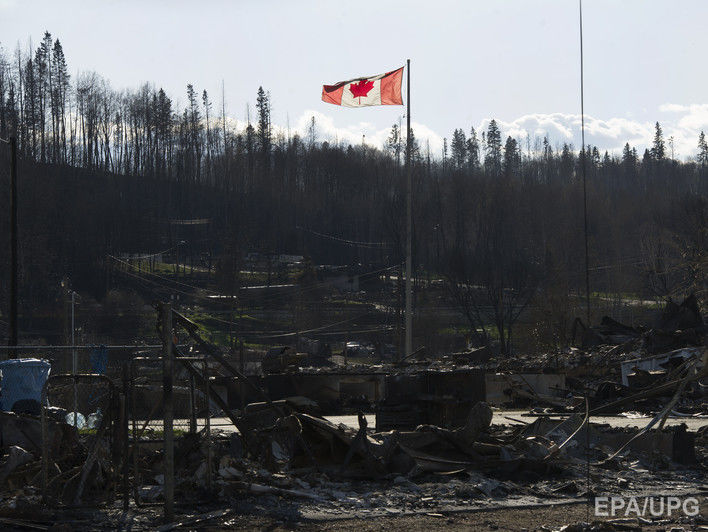 Reuters: По улицам канадских городов, эвакуированных из-за лесных пожаров, бродят десятки медведей