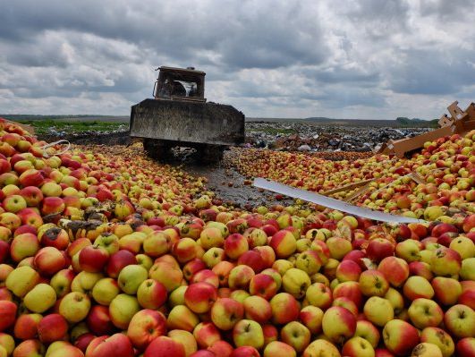 В России бульдозер раздавил 178 тонн "санкционных" яблок