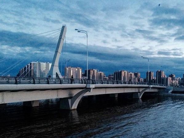 Более 35 тыс. человек выступили против того, чтобы мост в Питере назвали в честь Кадырова