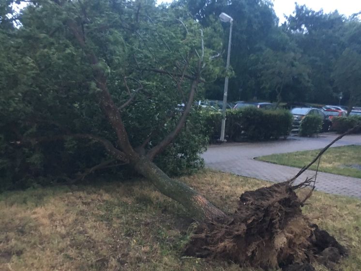 Жертвами урагана в Польше стали четыре человека