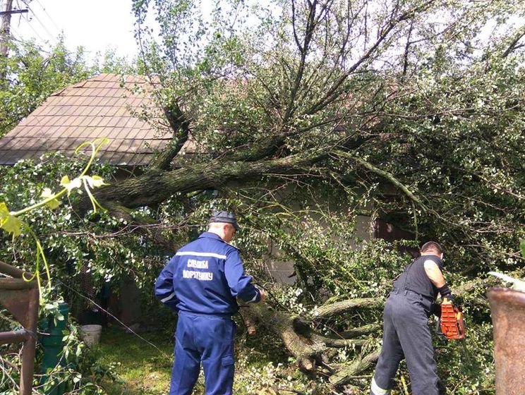 В Ивано-Франковской области пронесся ураган, один человек погиб