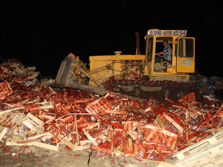 На Кубани раздавили бульдозером 38 тонн клубники из Украины