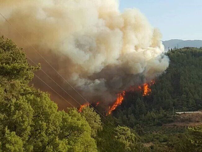 В Анталии из-за лесных пожаров власти эвакуируют туристов двух курортов