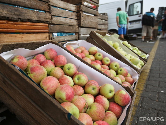 В РФ раздавили бульдозером 46 тонн черешни и яблок из Украины и Польши