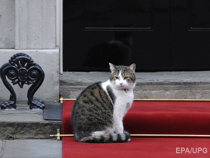 Главный мышелов останется в резиденции премьер-министров Великобритании после ухода Кэмерона