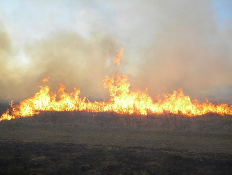 В Черниговской области возник пожар на военном полигоне