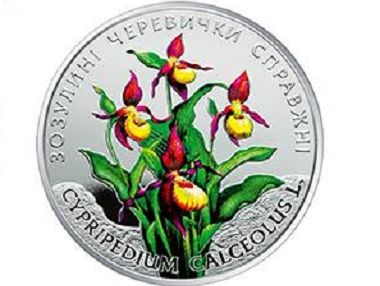 Нацбанк презентовал новые монеты "Венерины башмачки"
