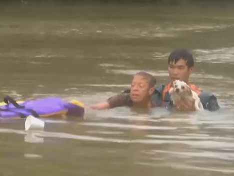 Наводнение в США: женщину и ее собаку спасли из тонущего авто. Видео