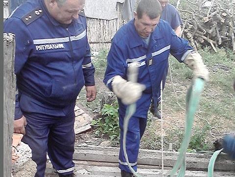 В Николаевской области спасатели вытащили из глубокого колодца жеребенка