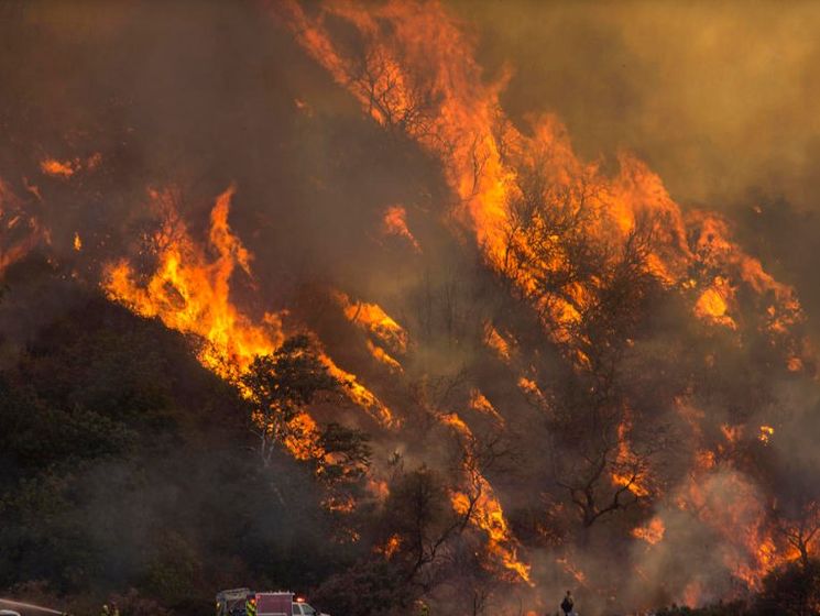 В американском штате Вашингтон из-за лесных пожаров власти объявили чрезвычайное положение