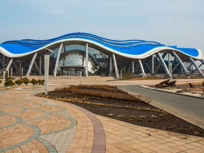 В российском Владивостоке протекла крыша океанариума за неделю до открытия. Видео