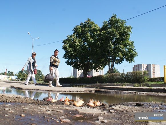 В российском Тамбове активист сажает в ямы на дорогах лук