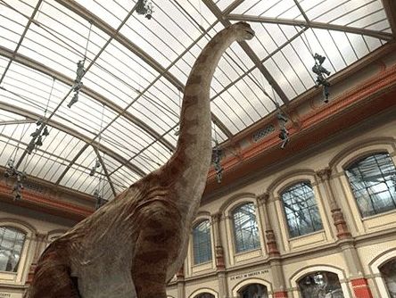 Google создала крупнейшую виртуальную экспозицию динозавров