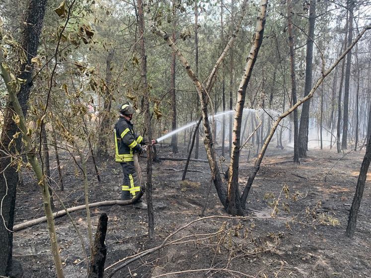 Пожары в Луганской области. ГСЧС сообщила, что открытого огня уже нет