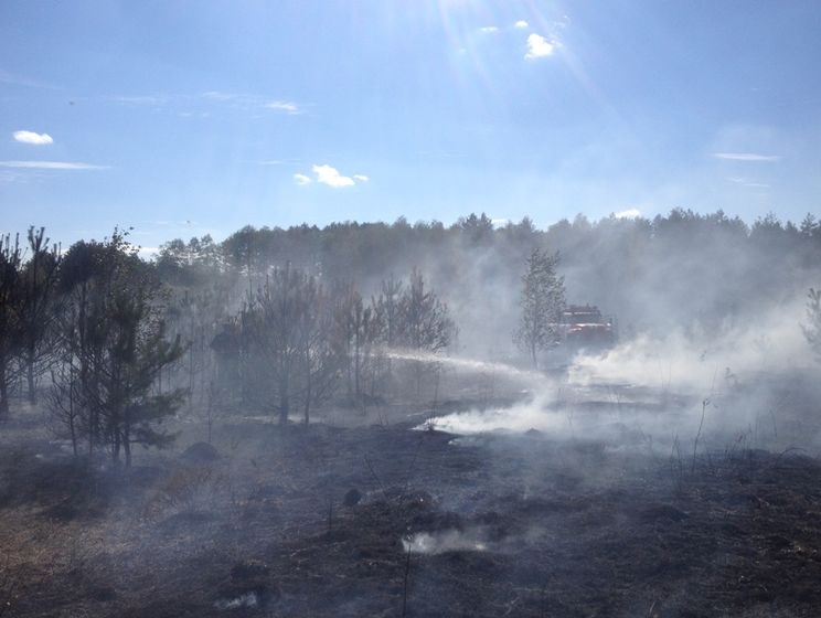 ГСЧС: С начала года в Украине выгорело почти 17 тысяч гектаров экосистем