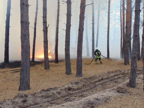 В Луганской области зафиксировали 85 пожаров – глава ОГА