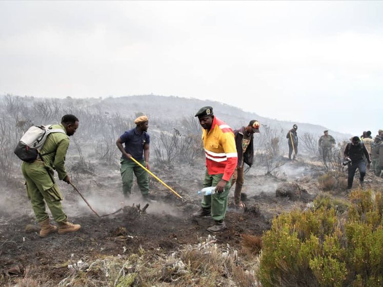 На Килиманджаро третьи сутки тушат лесной пожар