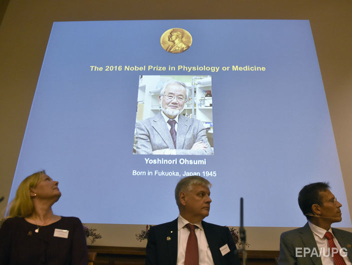 Нобелевскую премию по медицине присудили за изучение "самопоедания" клеток