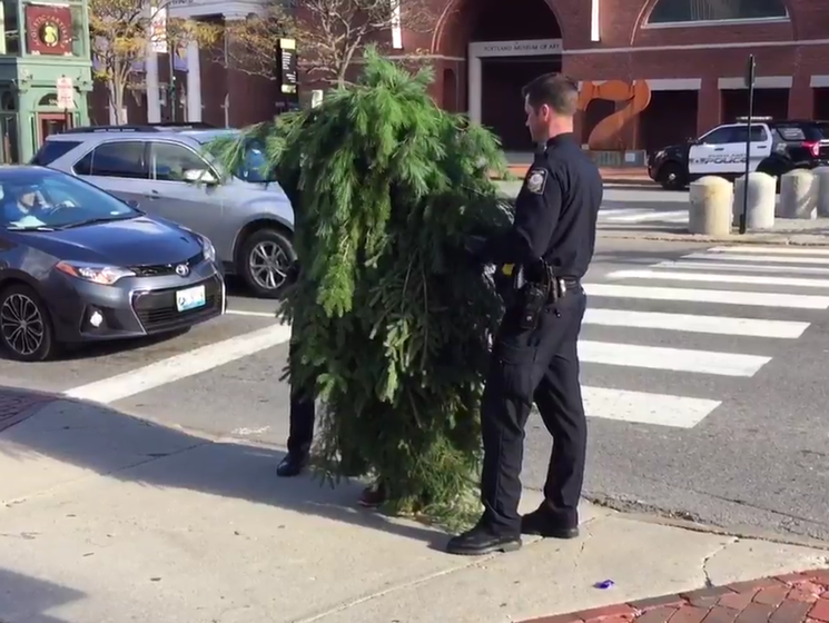 В Портленде арестовали человека-дерево. Видео