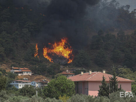 Ответственность за лесные пожары в Турции взяла на себя инициатива курдов 