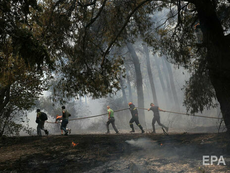Кабмин одобрил направление в Грецию 100 украинских спасателей для борьбы с лесными пожарами